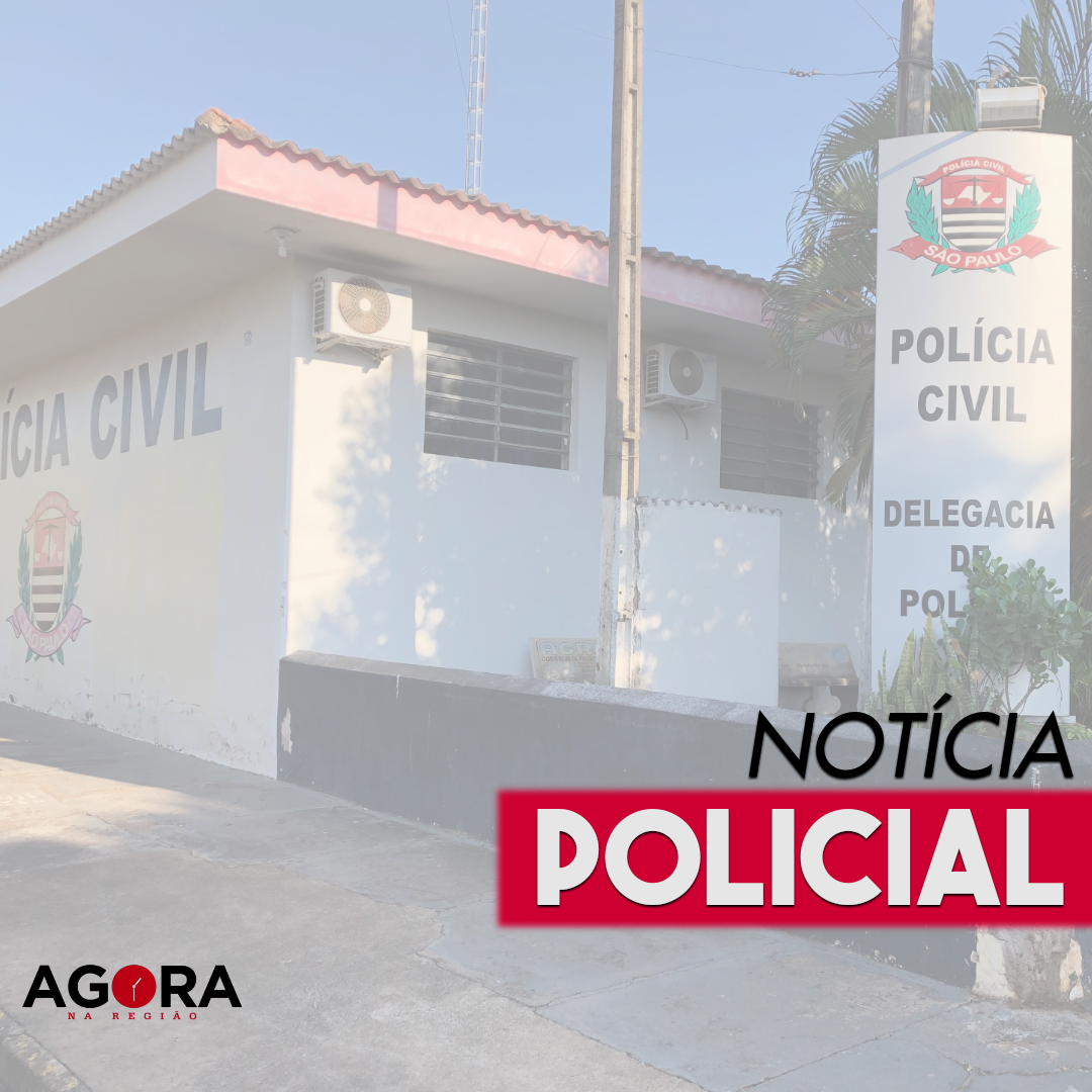 Confira as principais ocorrências policias de Mirandópolis e região