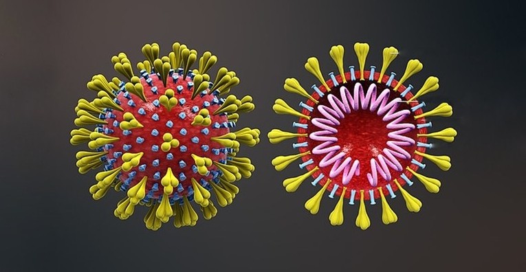 47 casos de coronavírus são registrados em Mirandópolis