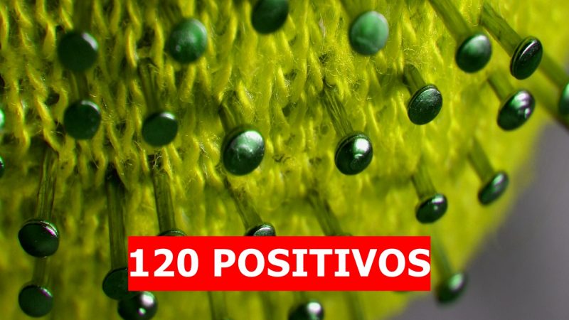 Boletim da prefeitura mostra 120 positivos por coronavírus