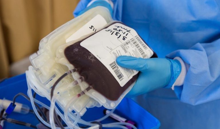 Junho Vermelho: doações de sangue que salvam vidas