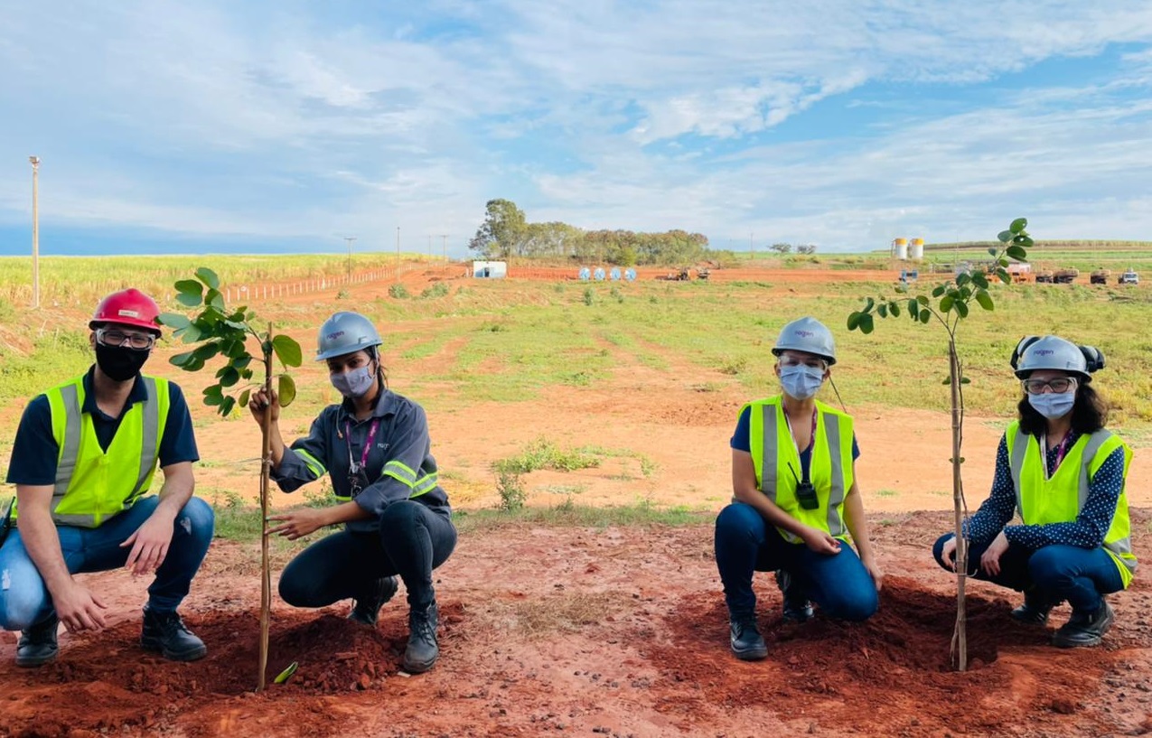 Programa VOAR: Raízen Mirandópolis realiza plantio de mudas de árvores