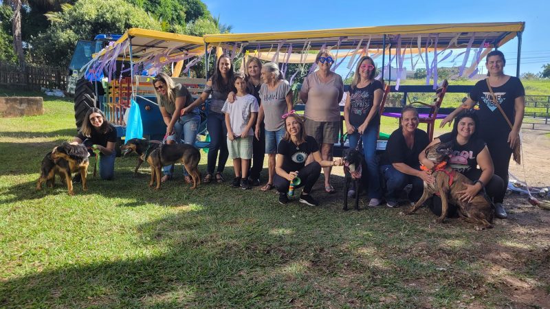 Protetoras de Mirandópolis promoveram desfile de animais para incentivar adoção durante ação preparatória para o evento Desfila CÃO